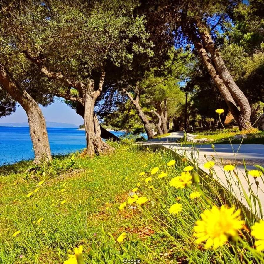 Apartment Gordana كريس المظهر الخارجي الصورة